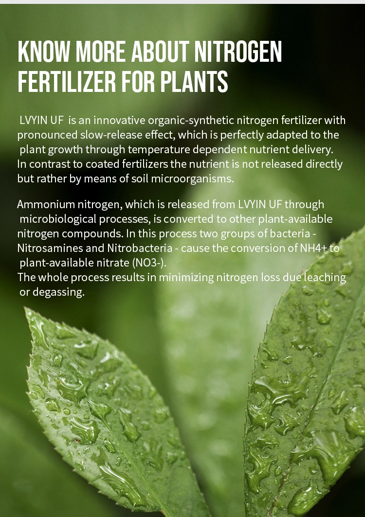 Lvyin Methylene Urea 40-0-0 Bulk Nitrogen Fertilizer Slowly Available Pure Nitrogen Fertilizer