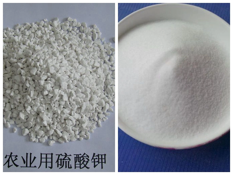 Potassium Sulphate All Water Soluble Fertilizer K2so4 Price